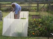Micromesh Pest And Wind Barrier