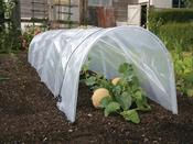 Giant Easy Polytunnel Cloche