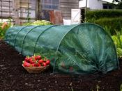 Giant Easy Net Tunnel image