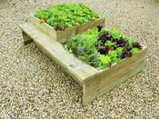 2 Tier Premier Raised Bed with Attached Garden Bench