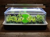 Small Vitopod Electric Propagator