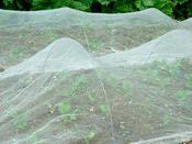 Horticultural Fleece Bulk Rolls image