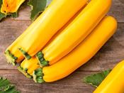 Courgette 'Atena Polka F1'