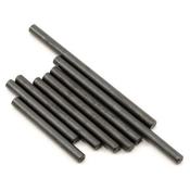 ECX Amp Hinge Pin Set