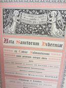 Acta Sanctorum Hiberniae (Lives of the Irish Saints) image