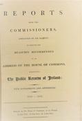 The Public Records Of Ireland (1810-1825) image