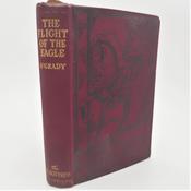 Flight of the Eagle (1935) image