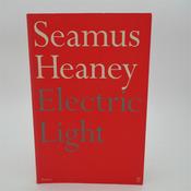 Electric Light. Signed Copy (2001) image