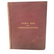 The Council Book of the Corporation of the City of Cork (1876) image