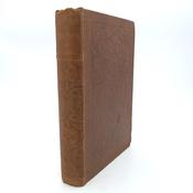 West Irish Folk-Tales and Romances (1898) image