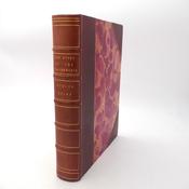 Story of the Weathercock. Illustrated by Charles Robinson (1907) image
