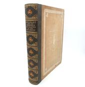Belfast and the Province of Ulster. Contemporary Biographies (1909) image