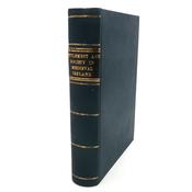 Settlement and Society in Medieval Ireland (1988) image