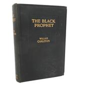 The Black Prophet.  A Tale of Irish Famine (1899) image