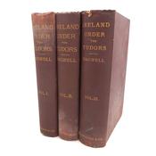 Ireland Under the Tudors. Three Volumes (1885-1890) image