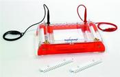 Biostep GmbH Gel Electrophoresis Tank Horizontal GH303