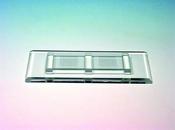 Hecht McMaster Counting Chamber; 76 x 32 mm (LxW)