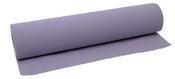 Couch Rolls Blue 20 inch 2ply
