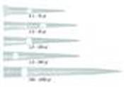 LLG Clear PP Low Retention Filter Tips 2.0; 1 - 200 µl Capacity