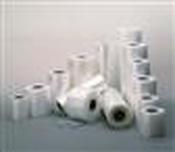 Rische Plastic Film Roll; 300 x 0.2 mm (Width x Thickness)