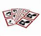 Brady Exploding Bomb Hazard Labels GHS 01; 50 x 50 mm
