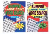 Bumper Word Search image