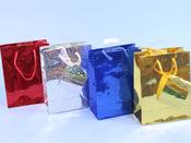 Hollographic Bags