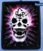 Skull Plaque