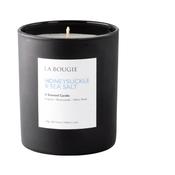 Honeysuckle &amp; Sea Salt Candle