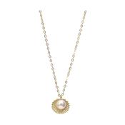 Open shell and pearl necklace