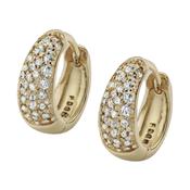 Sara Hoop Earrings Gold image