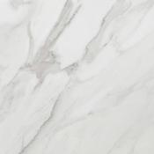 Calacatta White Matt 60x60