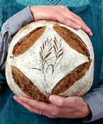 Expanding Sourdough image