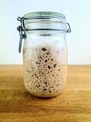 Free Riot Rye Sourdough Starter