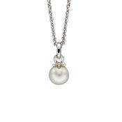 Little Star Isla Freshwater Pearl Pendant Necklace (LSN0159) image