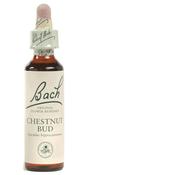 Bach Flower Remedies Chestnut Bud 20ml - Failing to learn from experience