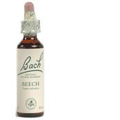 Bach Flower Remedies Beech 20ml - For Irritability and Intolerance image