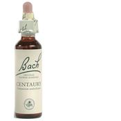 Bach Flower Remedies Centaury 20ml - Selflessness and Life Balance image