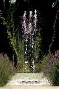 Oase Water Quintet  Fountain Display image