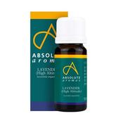 Absolute Aromas Org Lavender High Altitude 10Ml image