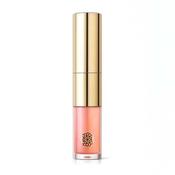 Lisa &amp; Co Dubai Lip Gloss image