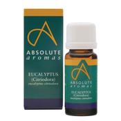 Absolute Aromas Eucalyptus Citriodora 10Ml image