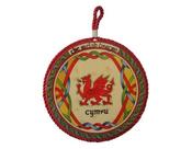 Welsh Dragon Rope Plaque