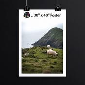 30" x 40" Posters image