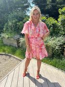 Caris Dress Pink image