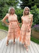 Elsa Dress Apricot image