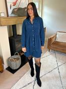 Saskia Dress Peacock image