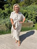 Meredith Polka Dot Dress image