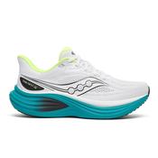Men's Saucony Triumph 24