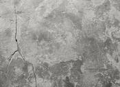 Concrete Wall 6 Mural image